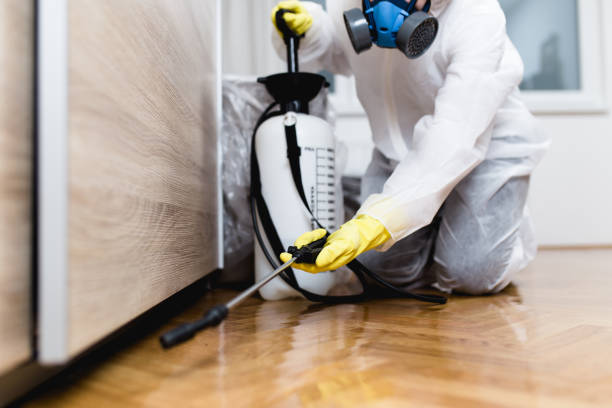 Best Best Pest Control Companies  in Tracyton, WA