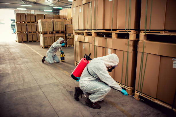 Best Emergency Pest Control  in Tracyton, WA