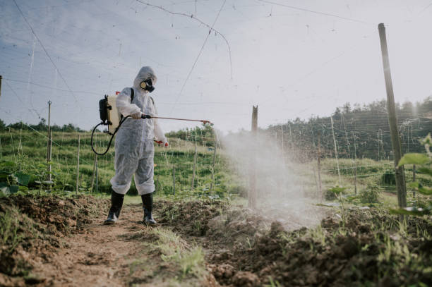 Reliable Tracyton, WA Pest Control Solutions