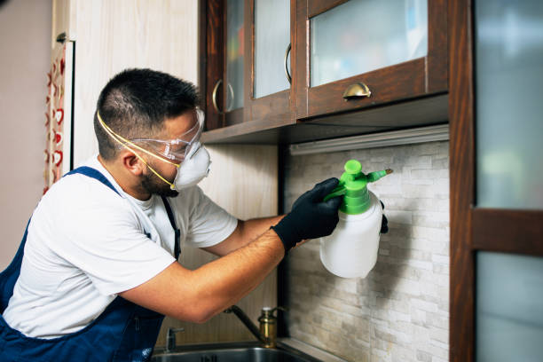 Best Residential Pest Control  in Tracyton, WA