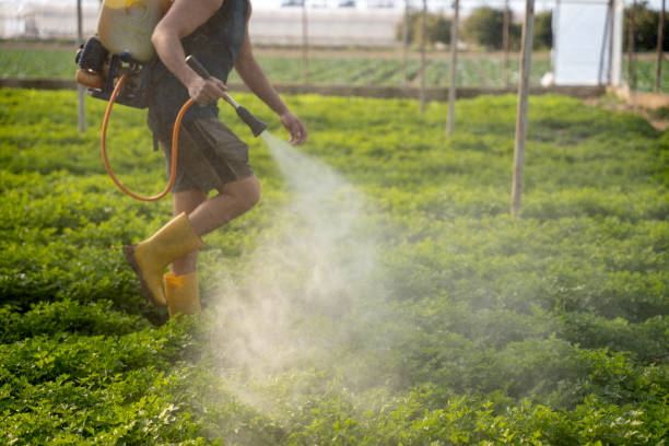  Tracyton, WA Pest Control Pros