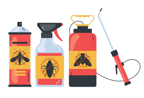 Best Spider Control Near Me  in Tracyton, WA