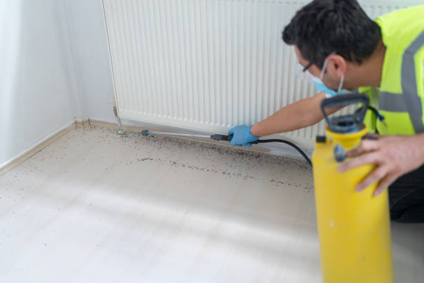 Best Wasp Removal Services  in Tracyton, WA