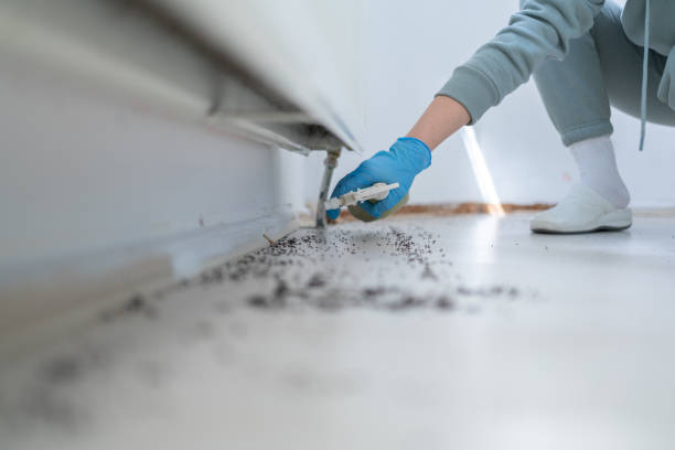 Best Pest Prevention Services  in Tracyton, WA