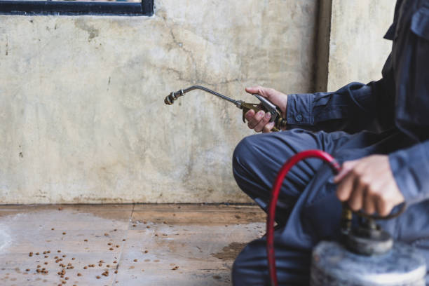 Best Pest Inspection Near Me  in Tracyton, WA