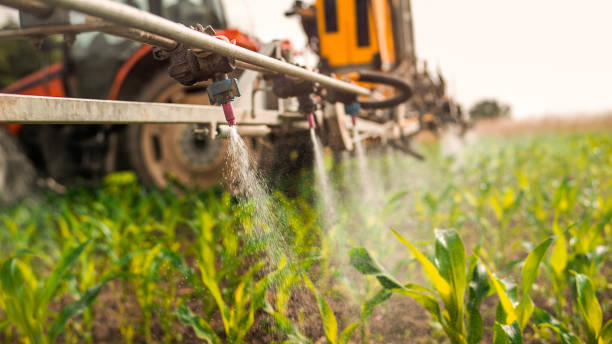 Best Pest Control for Restaurants  in Tracyton, WA