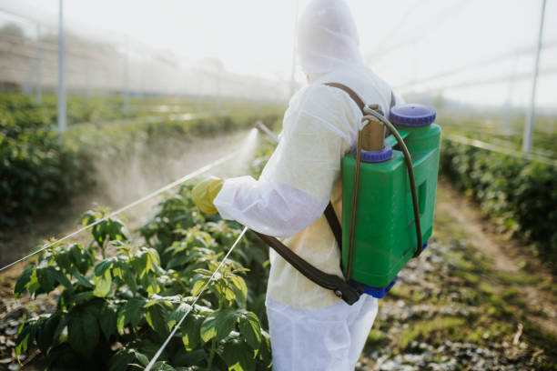 Best Local Pest Control Services  in Tracyton, WA